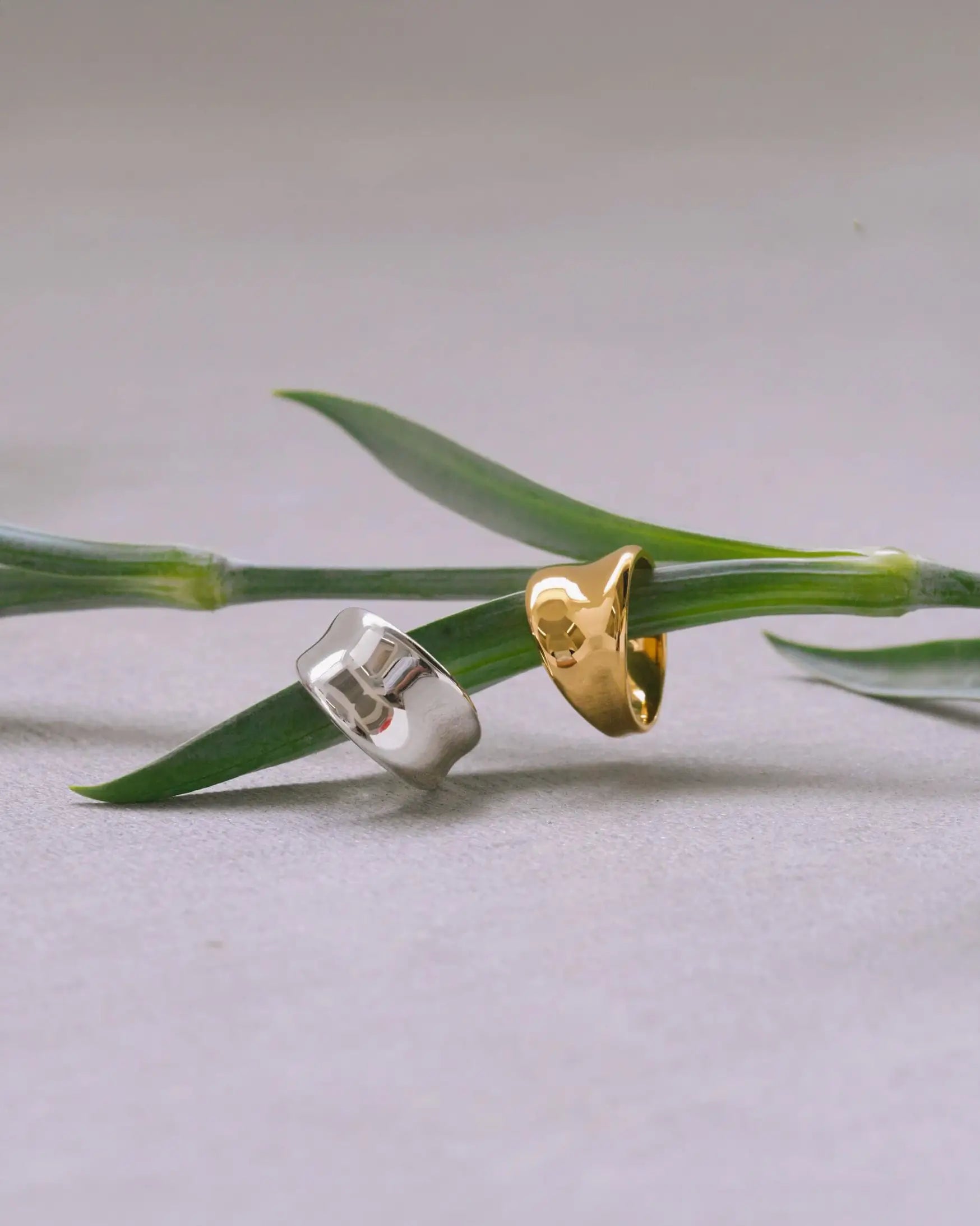 植物の茎に添えられたBotanical Ring(ボタニカルリング)のゴールドとシルバー。ボタニカルな世界観を表現。