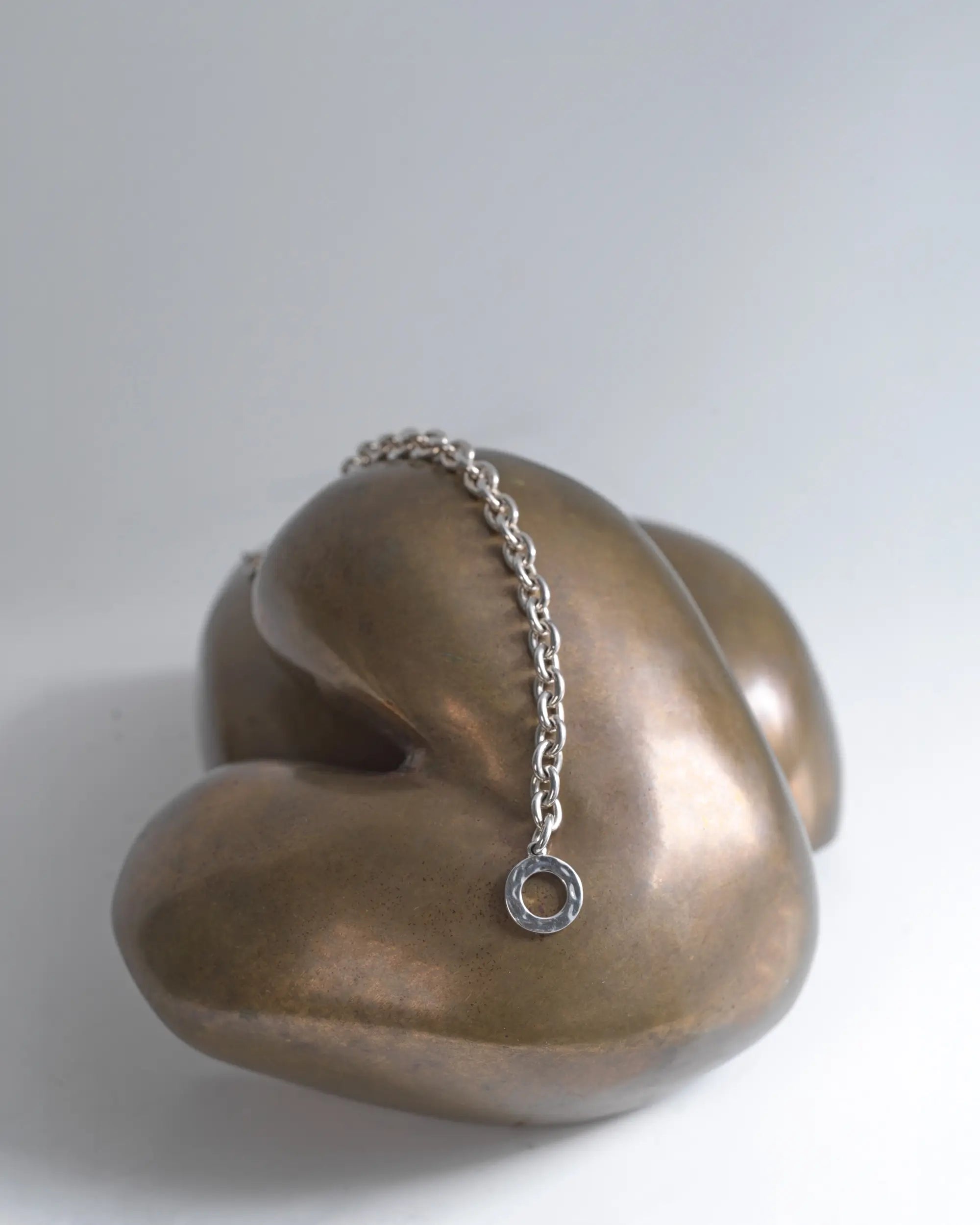 ゾーイチェーンブレスレット 置き画 | 自然物をモチーフにした有機的なシルバーパーツ